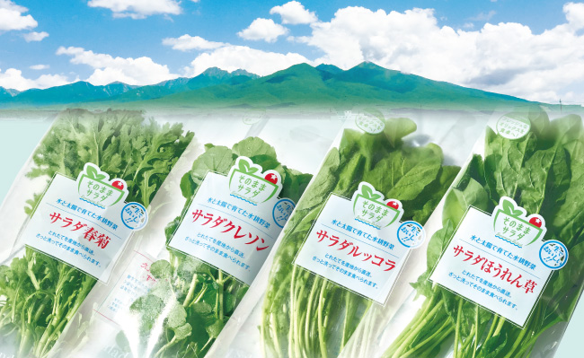 オリックスの水耕栽培野菜は 生でおいしく食べられます その秘密とは 食宣伝