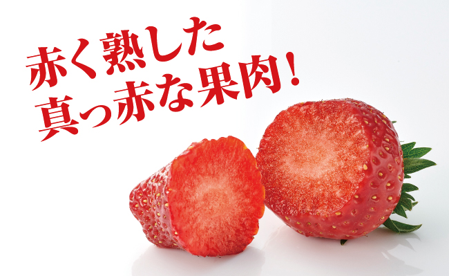 真っ赤な苺 はぐらかし 様専用 ご確認用ページ