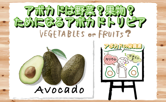アボカドは野菜 果物 ためになるアボカドトリビア 食宣伝