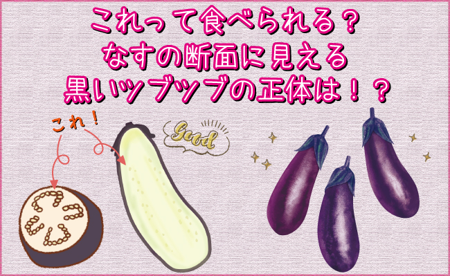 なすの種が黒いのは食べられる?原因と腐敗の決定的な見分け方