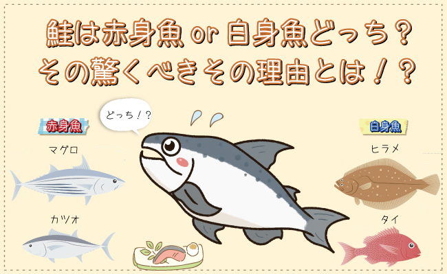白身魚2サーモン2 白身魚2サーモン2